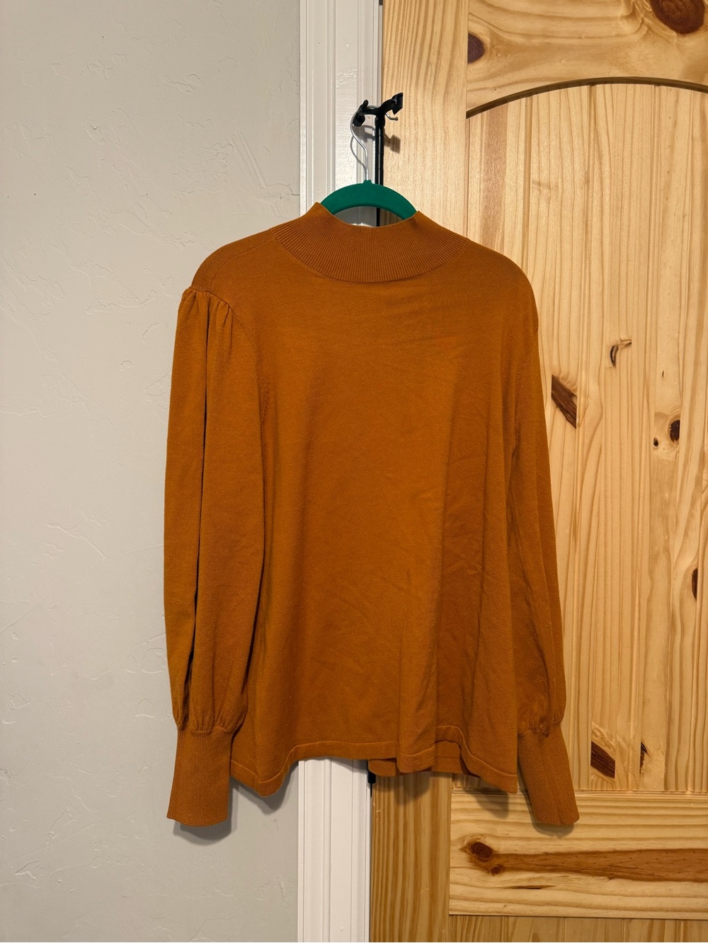 IMAN Rust Orange Mock Neck Long Sleeve Top